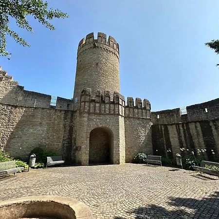 Am Damm Ingelheim am Rhein